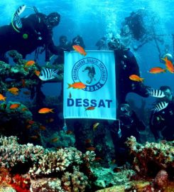DESSAT-Değirmendere Underwater Association