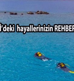HAMSİ Diving
